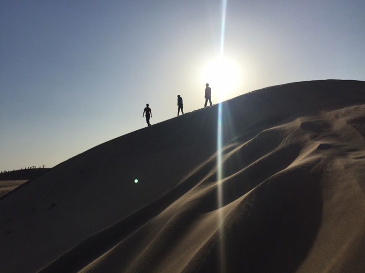 我爱远方风景,我爱远方和自由