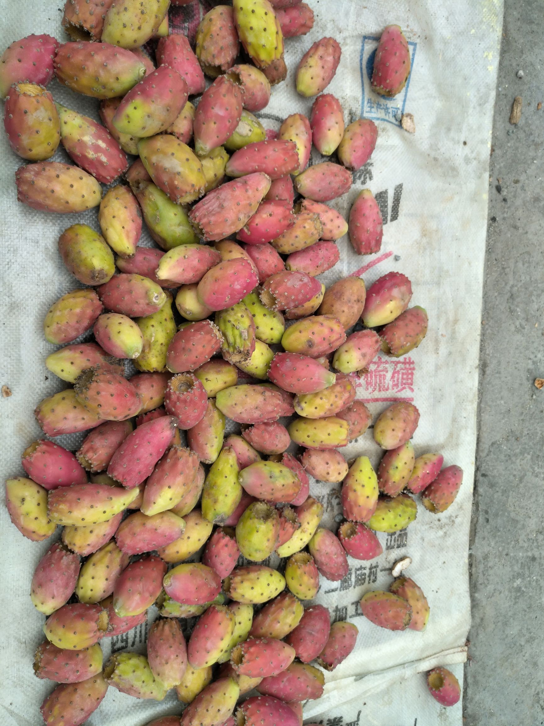 宁夏到陕西的沿途旅游,从宁夏自驾游到重庆多长时间