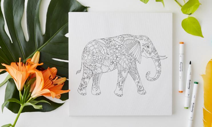 涂色的秘密花园绘本,secretgarden秘密花园