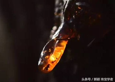 为什么有千年琥珀万年蜜蜡的说法,你被骗了多久搞笑版