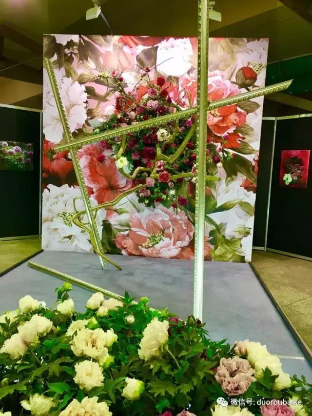 春节花市的鲜花,春节能看花的植物