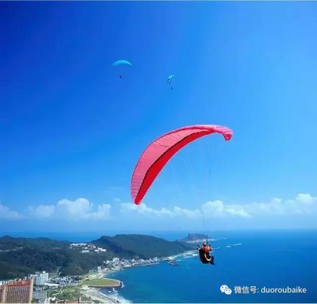 春节花市的鲜花,春节能看花的植物