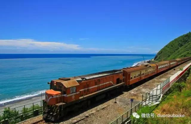 春节花市的鲜花,春节能看花的植物