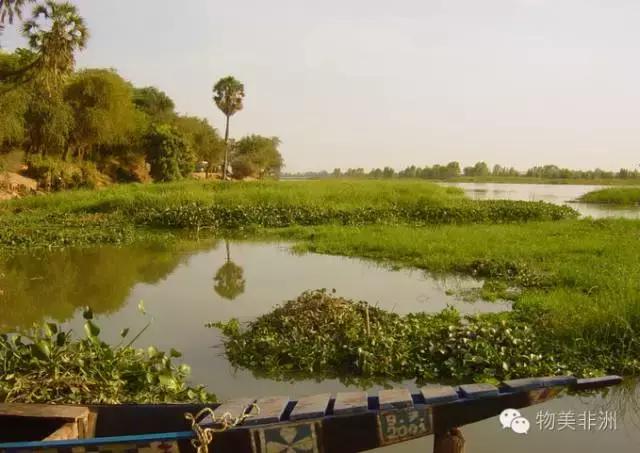 西非尼日尔国家怎么样,尼日尔是阿拉伯国家吗