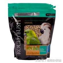 鹦鹉日常食品怎么喂好,超详细科普你的鹦鹉应该吃什么