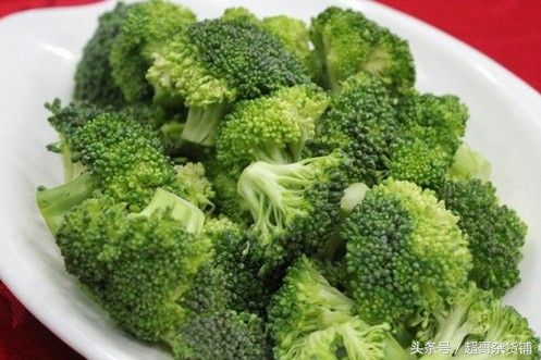 鹦鹉日常食品怎么喂好,超详细科普你的鹦鹉应该吃什么