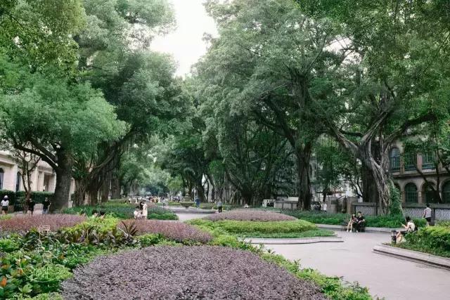 广州最值得去摄影的地方,广州摄影打卡景点