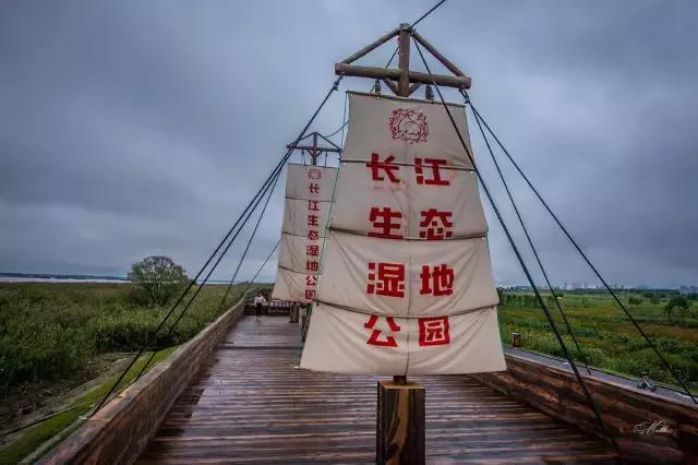 生活中的潜规则看完惊呆了,生活中有哪些潜规则需要记住