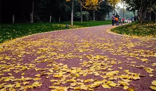 生活中的潜规则看完惊呆了,生活中有哪些潜规则需要记住