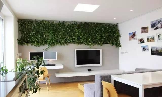 不止大白墙墙面这么装高级感立现,大白墙怎么选才有高级感