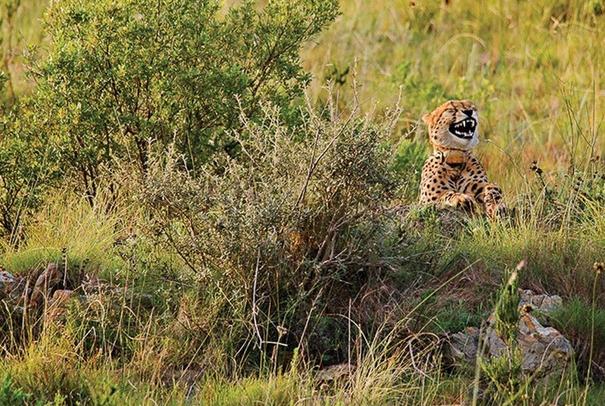 什么情况可以拉黑一个人,为什么会拉黑一个人呢