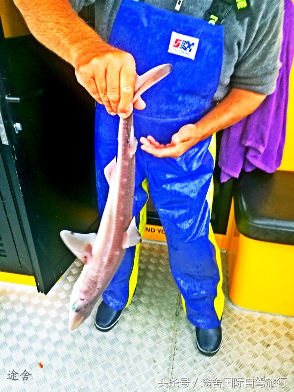 新西兰旅游游记,4月新西兰游记