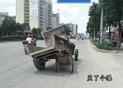 上课逗女同学,每个班里都会有这么一个逗逼