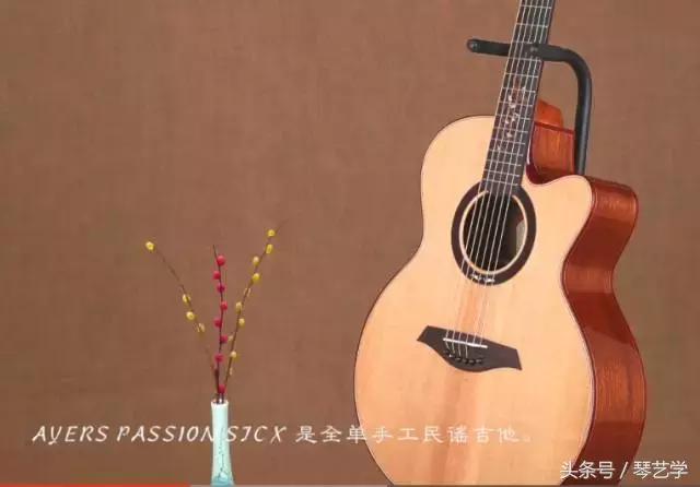 乐器选购丨简评吉他AyersPassionSJCX