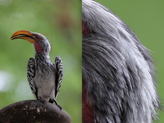 5ds多少万像素,5ds跟5d4哪个拍照好