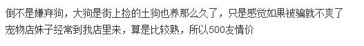 美女花1万多买中亚牧羊犬,妹子花1万多买的狗跑丢