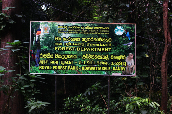 斯里兰卡旅游7天多少钱,去斯里兰卡最便宜方法