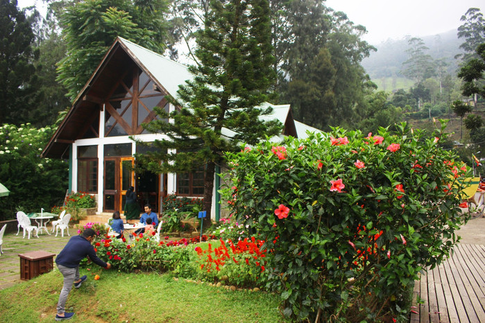 斯里兰卡旅游7天多少钱,去斯里兰卡最便宜方法