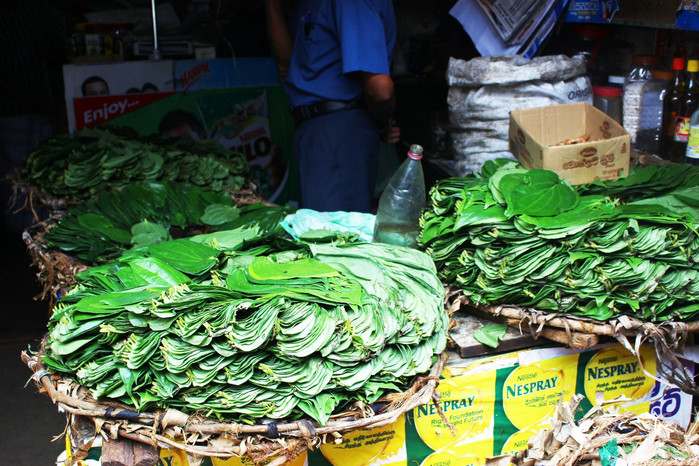 斯里兰卡旅游7天多少钱,去斯里兰卡最便宜方法