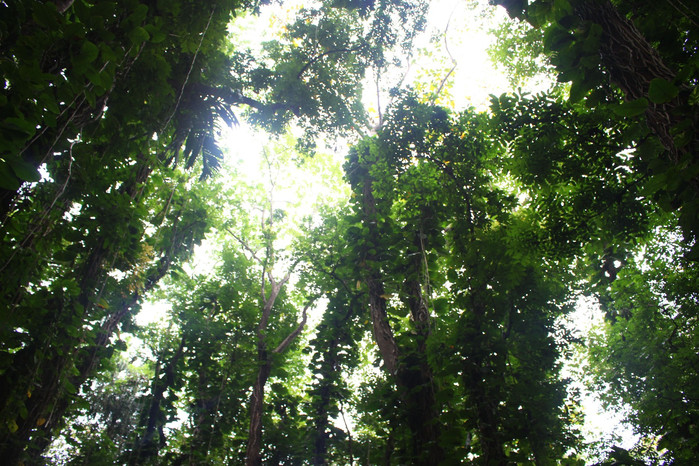 斯里兰卡旅游7天多少钱,去斯里兰卡最便宜方法