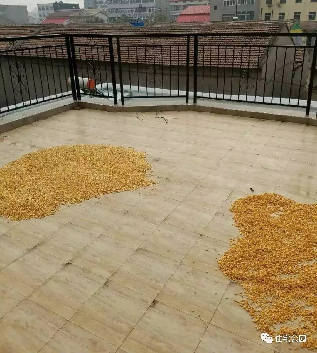 他花25万城郊盖栋轻钢房为何却羡煞了100万城市买楼的发小?