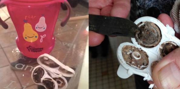 最流行小黄鸭玩具,小黄鸭玩具里面很多细菌