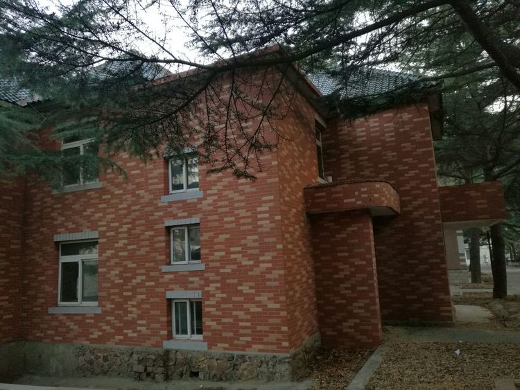 追寻历史遗迹感受文化魅力,八七疗养院历史遗迹