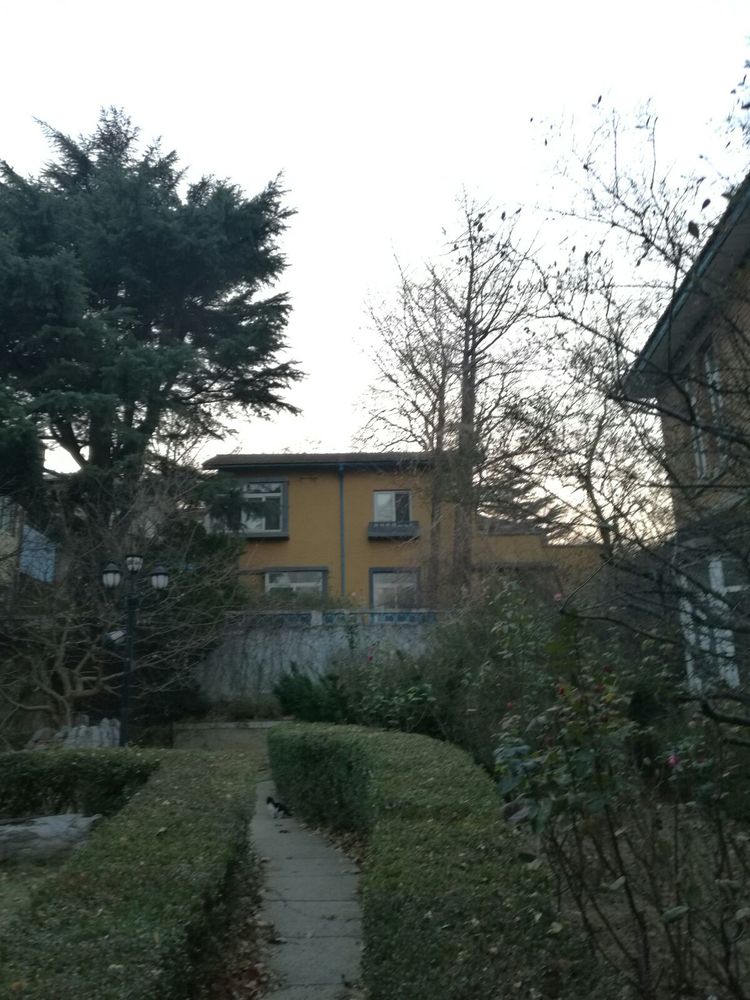 追寻历史遗迹感受文化魅力,八七疗养院历史遗迹