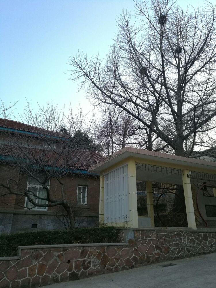 追寻历史遗迹感受文化魅力,八七疗养院历史遗迹