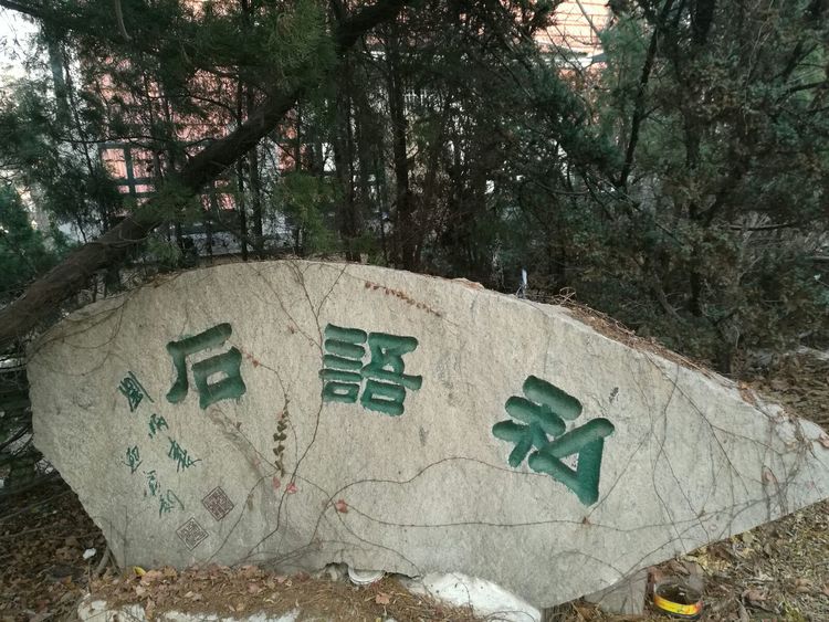 追寻历史遗迹感受文化魅力,八七疗养院历史遗迹