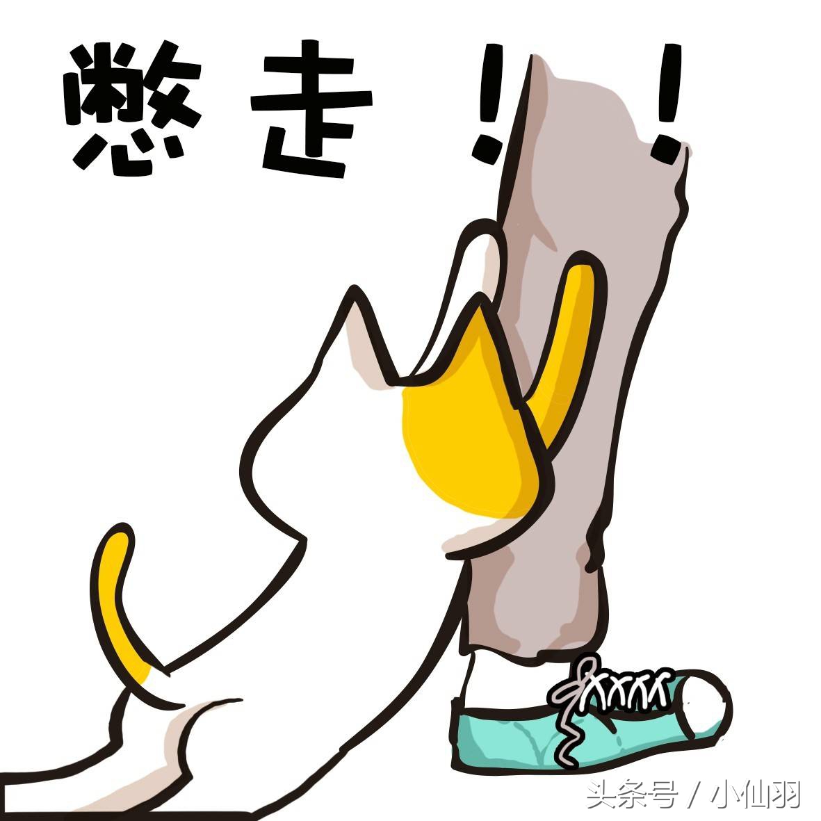 清华大学女生很抢手吗,清华大学女生的现状