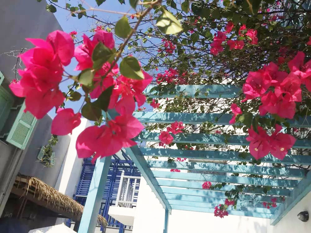 泰国曼谷芭提雅华欣7天自由行 (泰国华欣与芭提雅是一个地方吗)