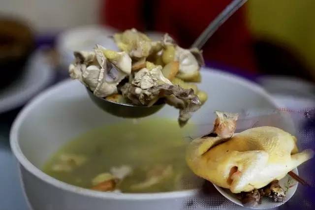 “眼镜鸡”，土鸡中的潮流范儿