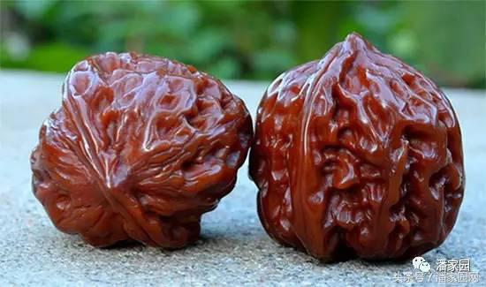 汗手盘串会把包浆盘没吗,干手汗手核桃包浆区别