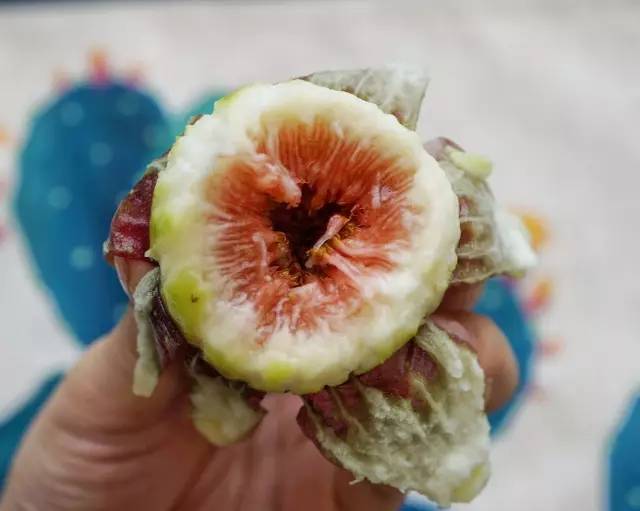 浜彈姘存灉鐢樼敎,浜彈鏃犺姳鏋滃甫鏉ョ殑鐢滆湝