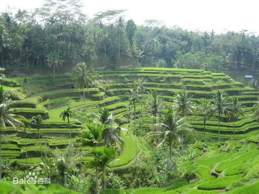 巴厘岛旅游游泳,空中游泳的真实感受