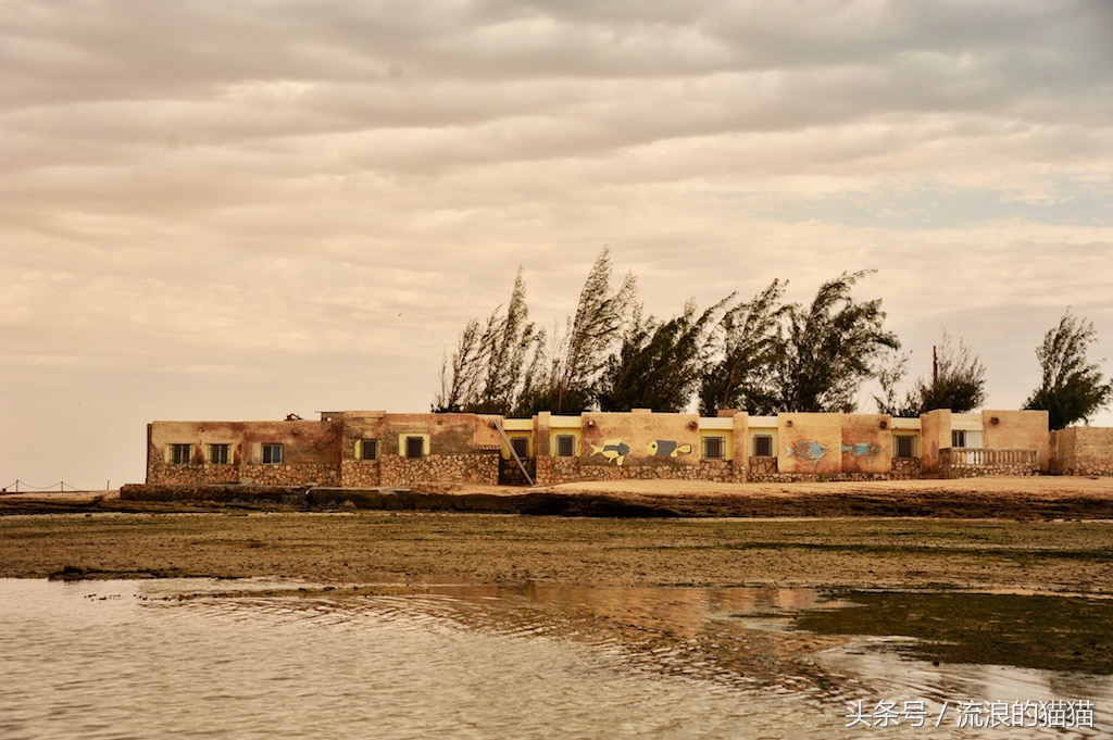 毛里塔尼亚，这个以肥为美的神奇国度究竟是什么样的？