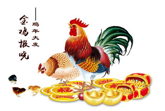 鸡为什么叫母鸡,鸡为什么叫家禽