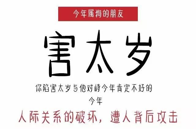 1970年属狗人2022年桃花运,属狗人今年桃花运怎么样