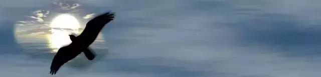 年轻科学家应该勇于创新寻求突破,年轻科研团队成就