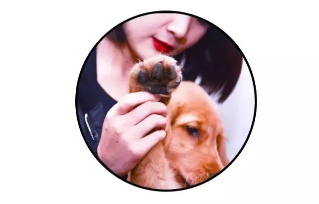 免洗泡沫推荐,免洗泡沫