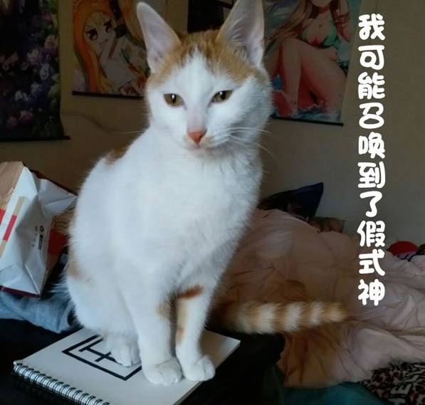 网易又搞大事情，《阴阳师》这回要这么玩了