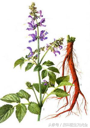 大道至简中医自学,中药治银屑病处方