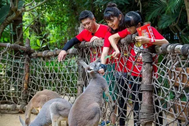 2022年过年少儿频道,2021过年啦少儿频道特别节目