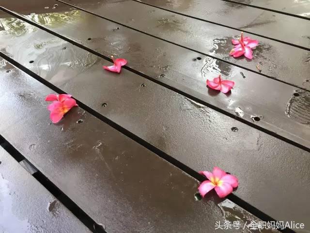 带上宝宝去泰国旅游,泰国旅游带宝贝去哪里