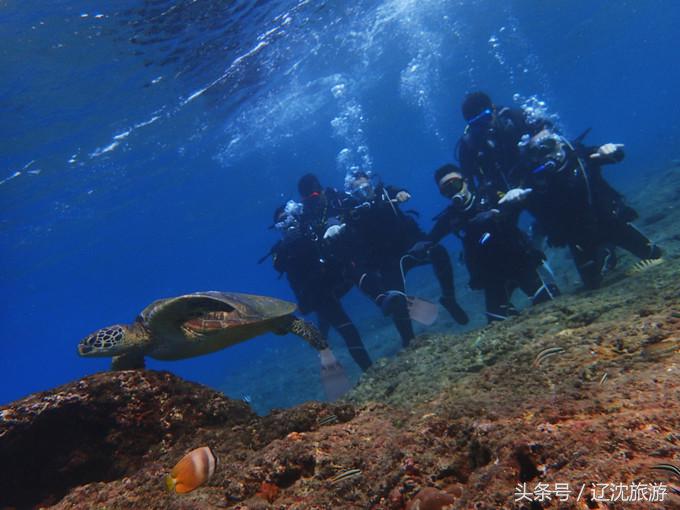 去台湾看自然风景,台湾小众景点