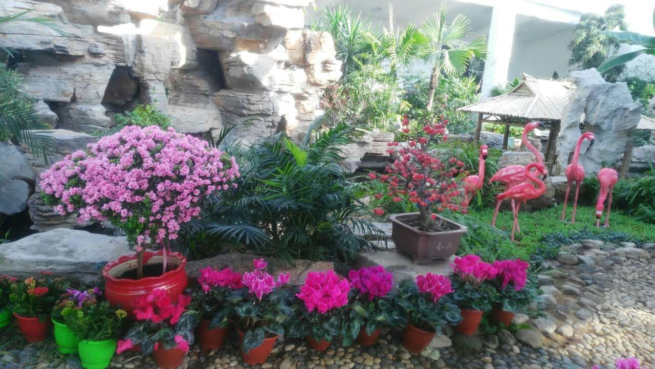 二十四番花信风视频诵读,小说二十四番花信风惊蛰