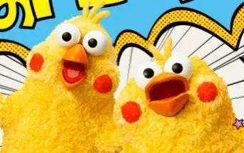 这两只在日本爆火的贱鹦鹉,一定能成为表情包界最火的新网红!