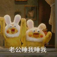 这两只在日本爆火的贱鹦鹉,一定能成为表情包界最火的新网红!