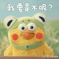 这两只在日本爆火的贱鹦鹉,一定能成为表情包界最火的新网红!